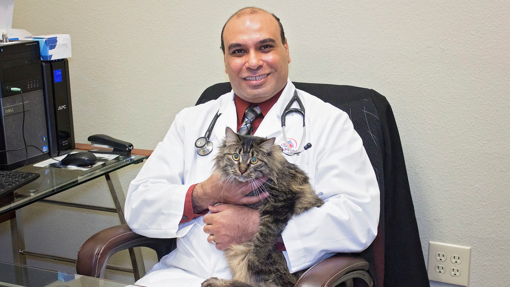 Dr. Hany Azer, A Leading Vet in Mansfield TX