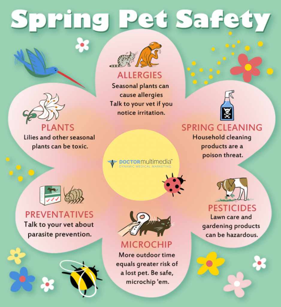 Spring Pet Care Safety