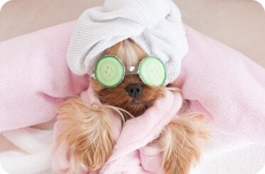 img-postgrid3