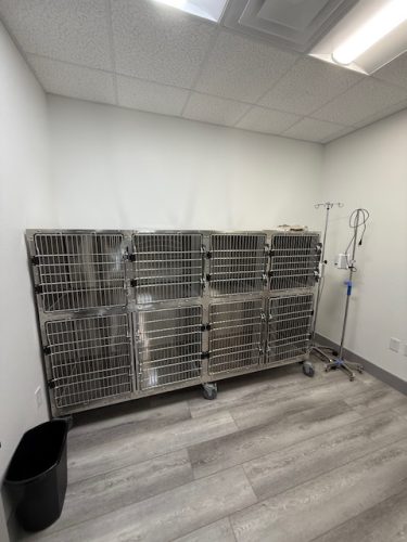 New-Clinic-Patient-Care-Area