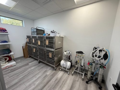 New-Clinic-Recovery-Room