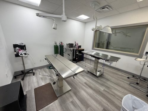 New-Clinic-Sugery-Area-2