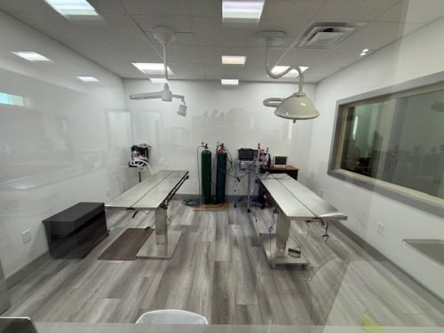 New-Clinic-Surgery-Area